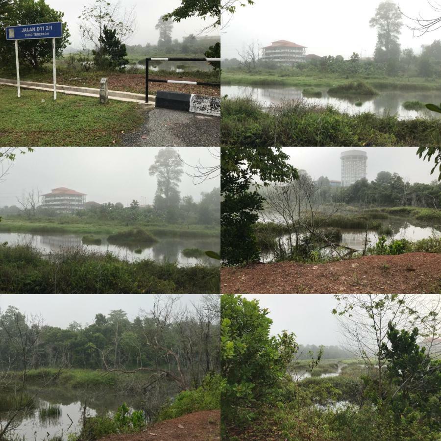 Kampong Paya Kerinau Patin Guest House @Desa Telok Ira, Temerloh Pahang מראה חיצוני תמונה